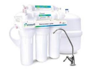 ecosoft
